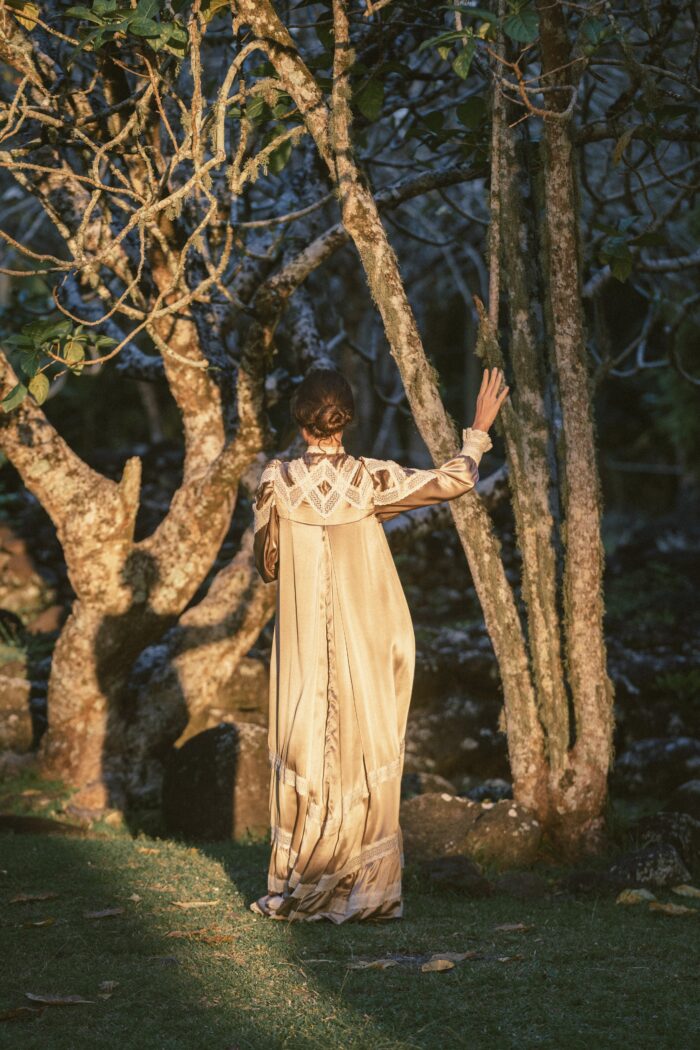 MIRIAMA GOWN - Image 4